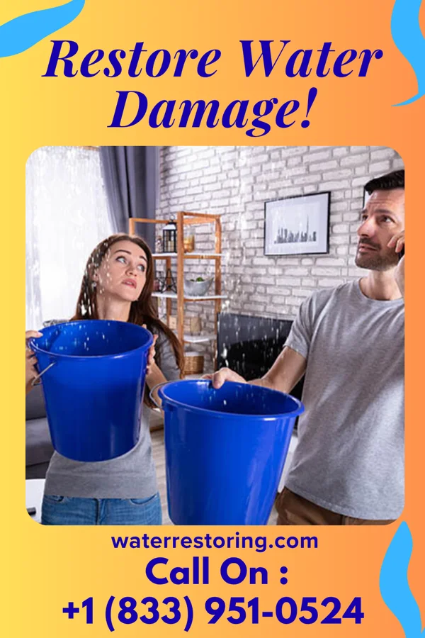water restoration Modern Flood Damage Company Liebenthal